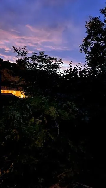 La Cabane Des Amoureux Du Jardin バルジョル
